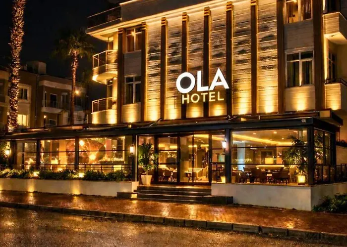 Ola Hotel *
